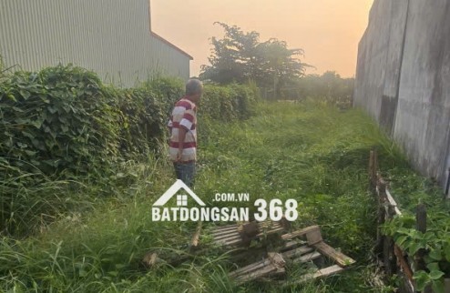 Chính chủ cần bán đất thổ cư xã mỹ yên, bến lức, Long An